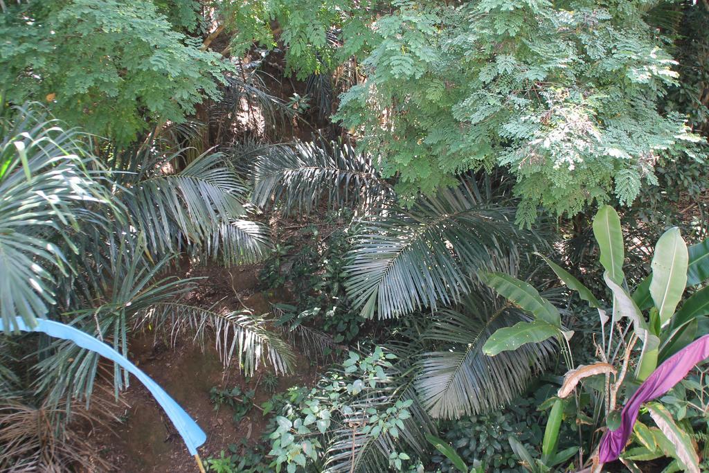 Bembengan Ubud Cottage Dış mekan fotoğraf